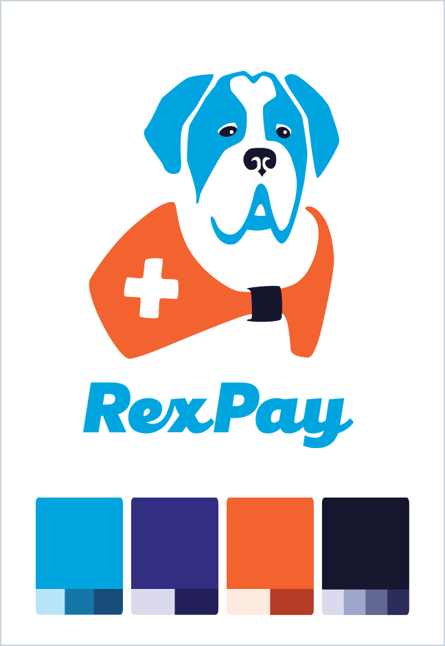 RexPay Brand Identity (B2C)